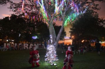 CIC e Prefeitura realizam 2ª Campanha “Adote uma árvore de Natal”