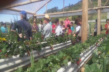Grupo de agricultores participou de visita técnica