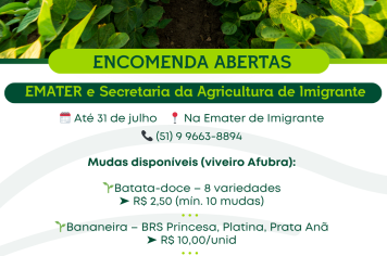 Emater e Secretaria da Agricultura abrem encomendas de mudas e sementes para 2025