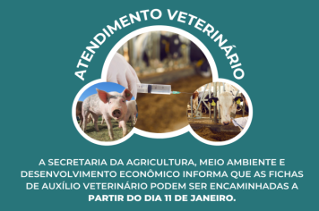 Auxílio atendimentos veterinários