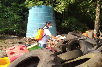 Imigrante reforça prevenção contra a dengue com início do verão