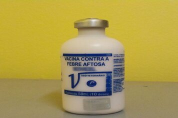 Agricultura inicia a distribuição das vacinas da aftosa