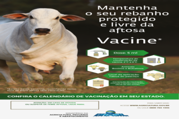 Iniciada a distribuição de vacinas da aftosa