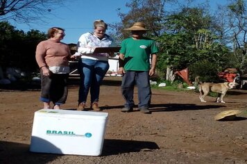 Imigrante distribuiu gratuitamente vacinas da febre aftosa