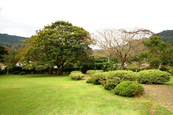 Tons de Primavera inicia dia 15 de outubro