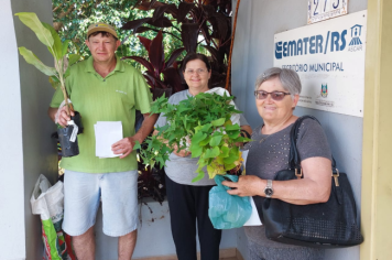 Emater e Agricultura entregam mudas da Afubra