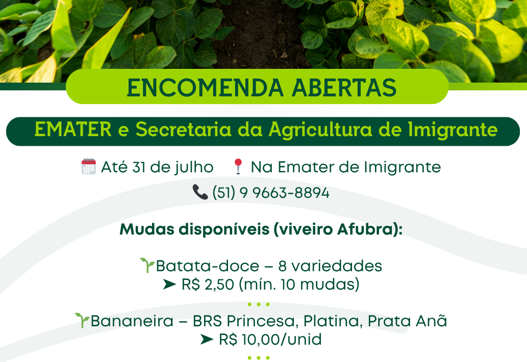 Emater e Secretaria da Agricultura abrem encomendas de mudas e sementes para 2025