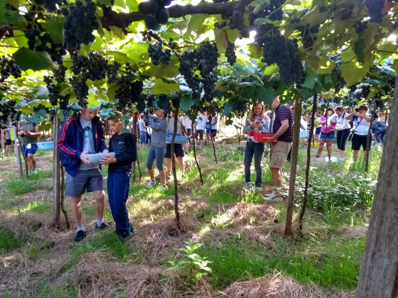 Passeios na Colônia trouxe turistas para o interior de Imigrante