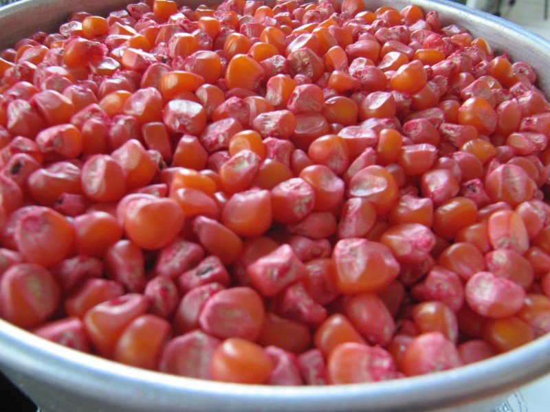 Aberto prazo para o Pacote Agrícola de Verão   