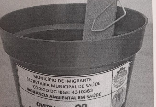 Encontradas larvas do mosquito transmissor da Dengue em Imigrante
