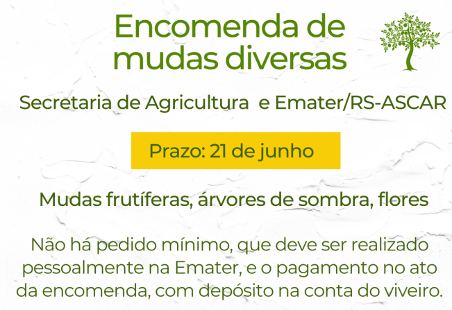 Pedido de mudas segue aberto até o dia 21